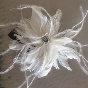 Stunning Feathered Clip